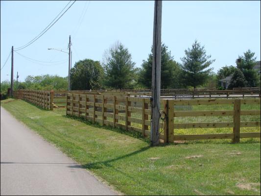 Our new arena at Half Ass Acres Miniature Donkey Farm