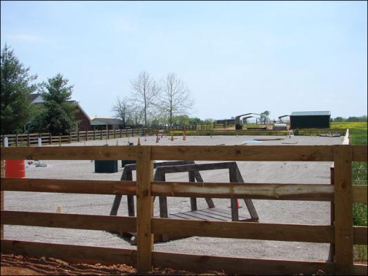 Our new arena at Half Ass Acres Miniature Donkey Farm