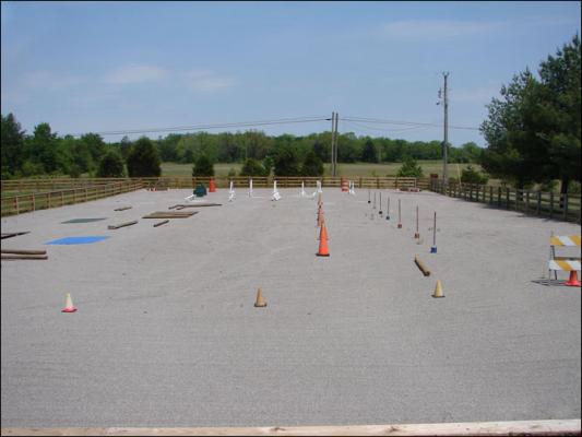 Our new arena at Half Ass Acres Miniature Donkey Farm