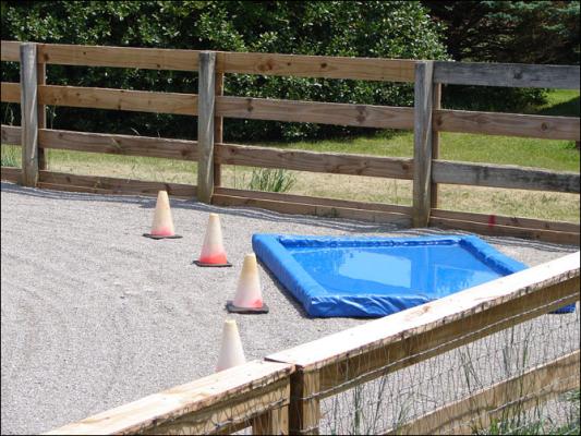 Our new arena at Half Ass Acres Miniature Donkey Farm