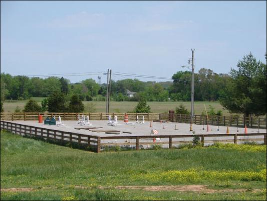 Our new arena at Half Ass Acres Miniature Donkey Farm