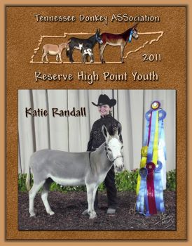 2011 Reserve High Point Youth of the Tennessee Donkey ASSocation!
