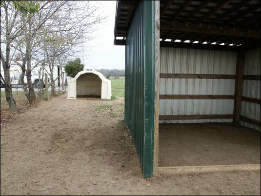 Half Ass Acres Miniature Donkey Farm Improvements