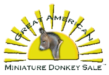 The Great American Miniature Donkey Sale