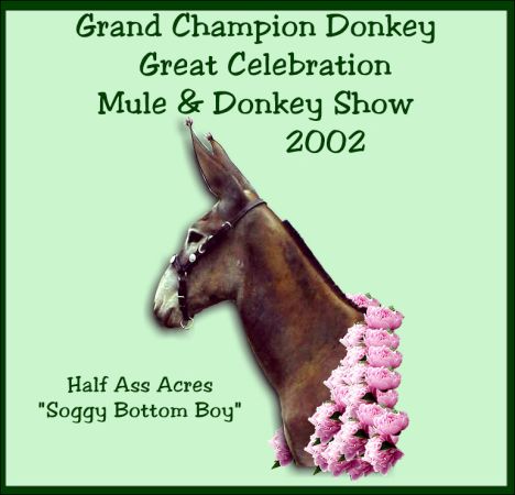 Champion Donkey at the 2002 Nationals!